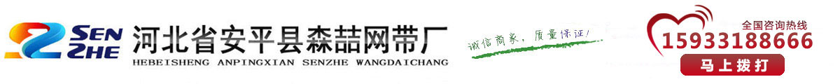 链条输送带，链板输送带，双旋输送网带-河北省安平县森喆网带厂